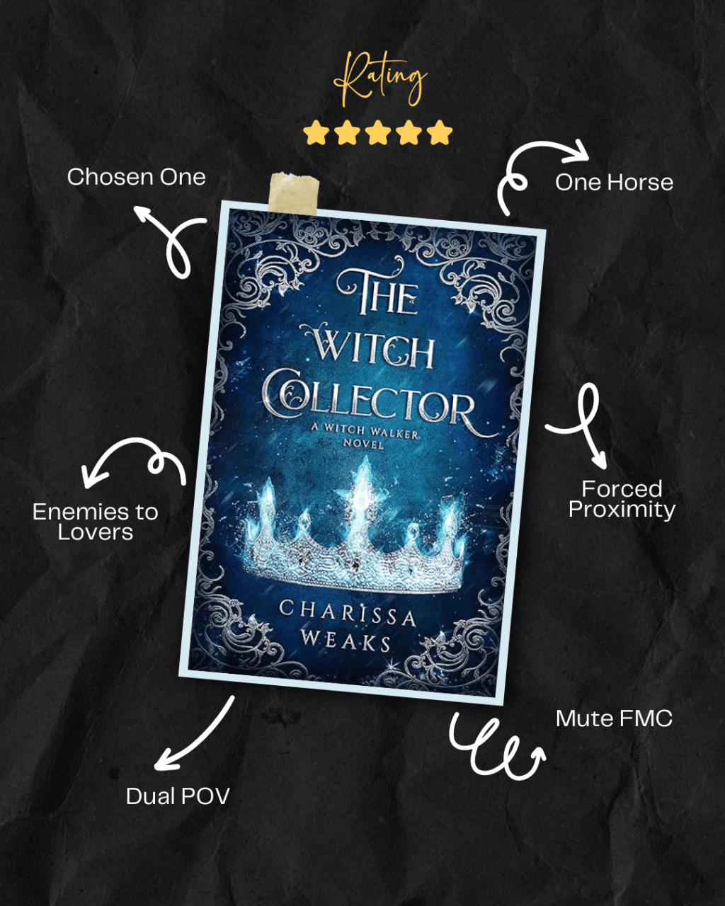 Book Review: The Witch Collector by Charissa&nbsp;Weaks